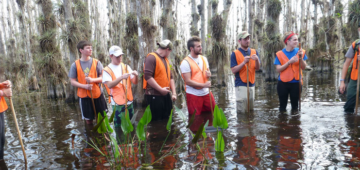 Environmental Students in a swamp