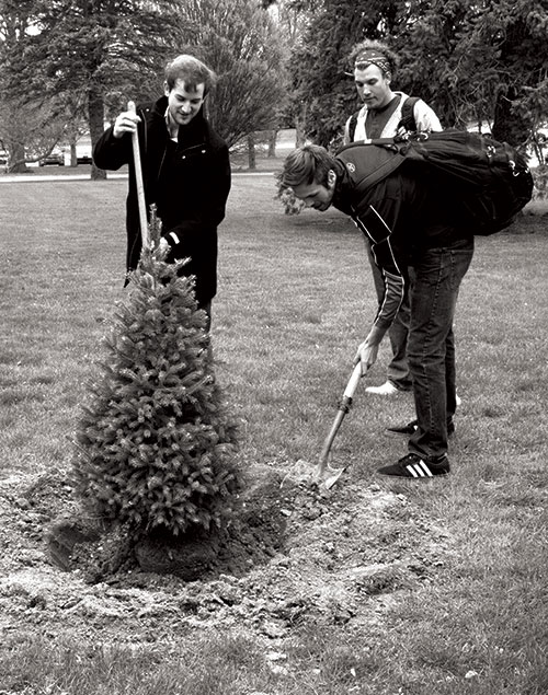 Tree_Planting