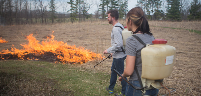 Controlled burn at Koinonia