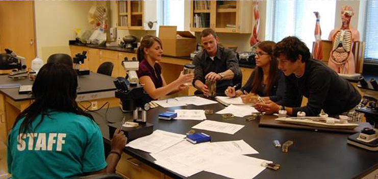 Students and Faculty working
