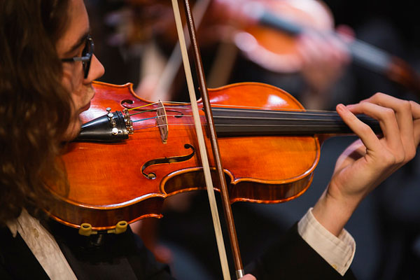 violin