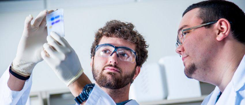 Pharmacogenomics students working in the lab