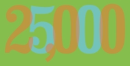 25000 25000