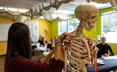 Earn Your Orthopedic Studies Degree at Manchester University