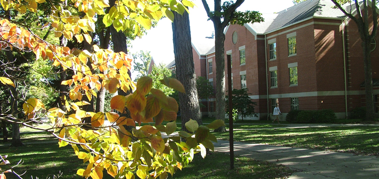 large_commemorative-tree-program