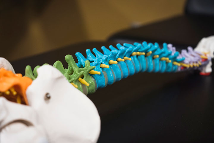 DPT-spine-2022 DPT-spine-2022