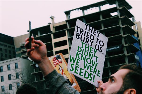 Be A Seed Be A Seed