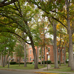 Oak trees line our beautiful campus