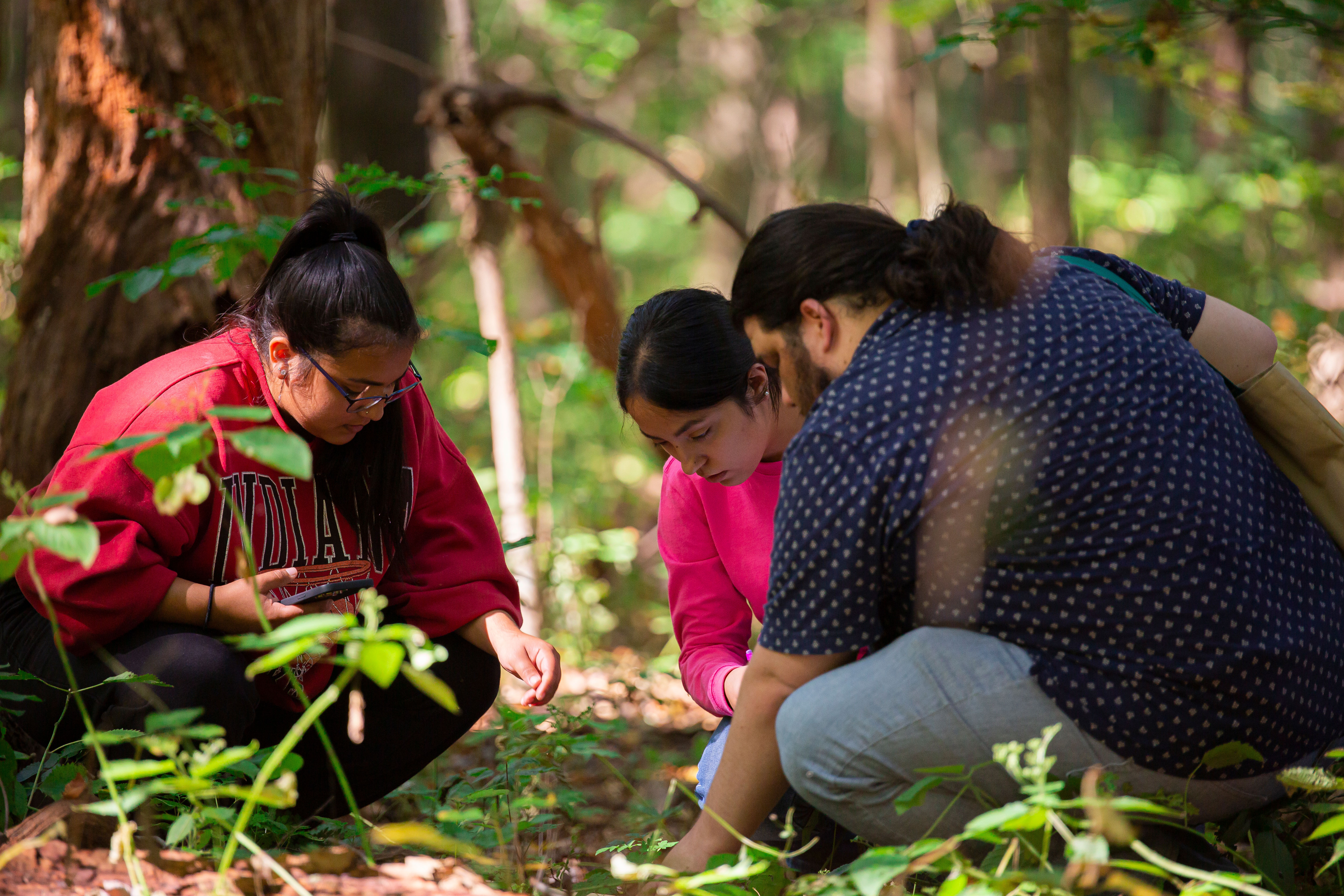 EcologyLab