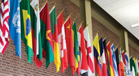 FLAGS