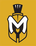 Helmet-2-Color-Over-Gold