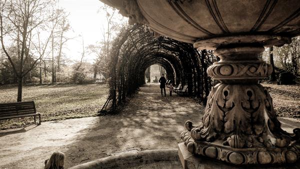 A Walk Through Strasbourg