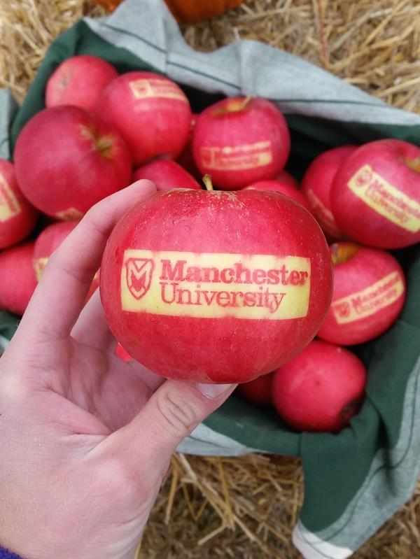 MU Apples MU Apples