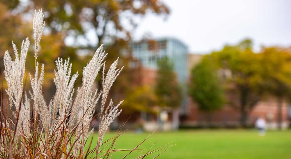 Image of fall foliage taken during the MU Fall photo session