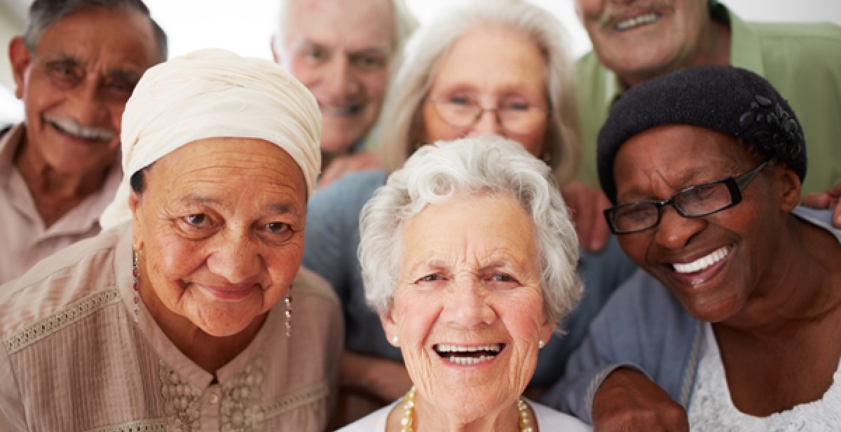 gerontology