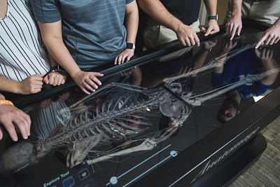 Students survey a virtual skeleton