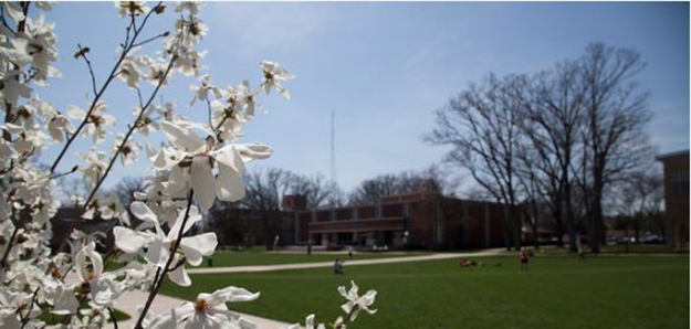 Spring on campus Spring on campus