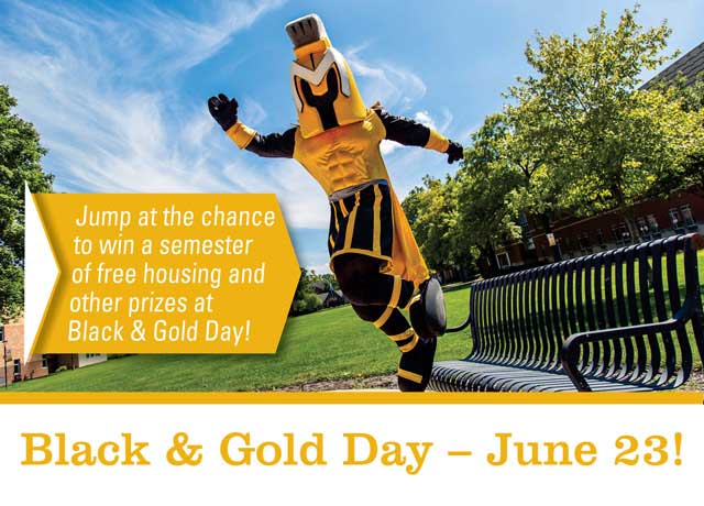 Black & Gold Day - June 23
