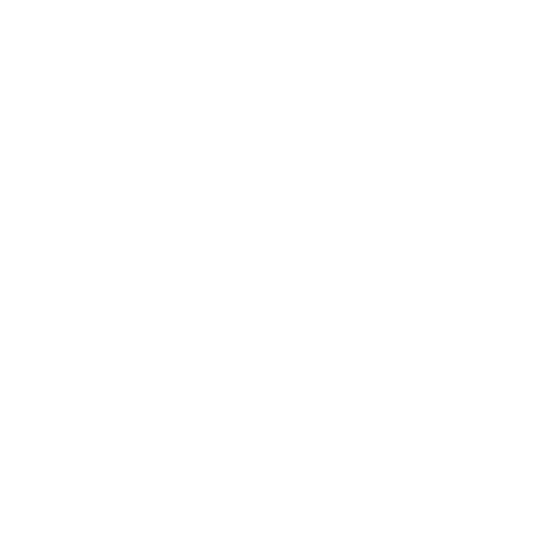 Linkedin icon