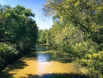 Kayak or hike along the Eel River