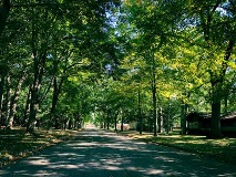 Take a walk in the shade under a tunnel of trees