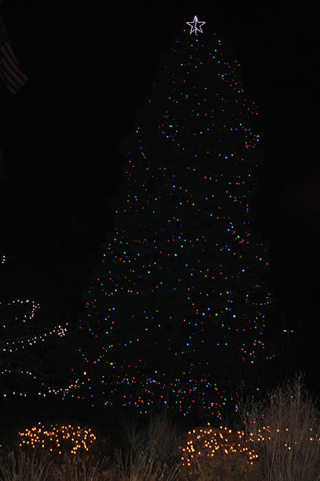 2014 tree-lighting
