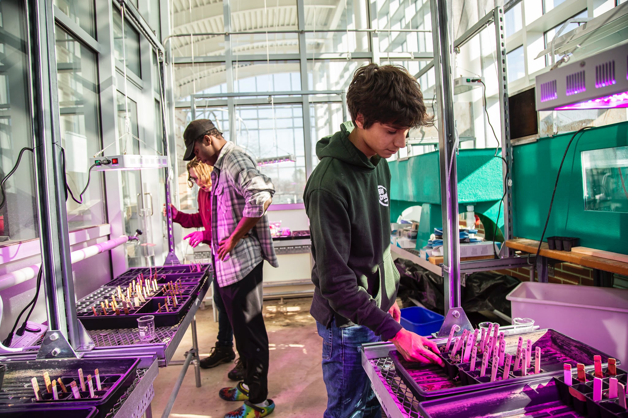 students inside in biology lab classroom with plants
