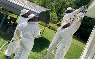 Group of people in protective suits removing wasp nest