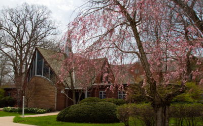 Petersime Chapel exterior on a sunny spring day with a blooming tree