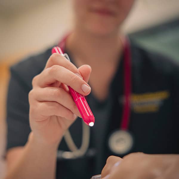Looking into the eyes during a lab, using a pen light. 