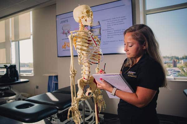 A student assesses a skeleton in the DPT lab
